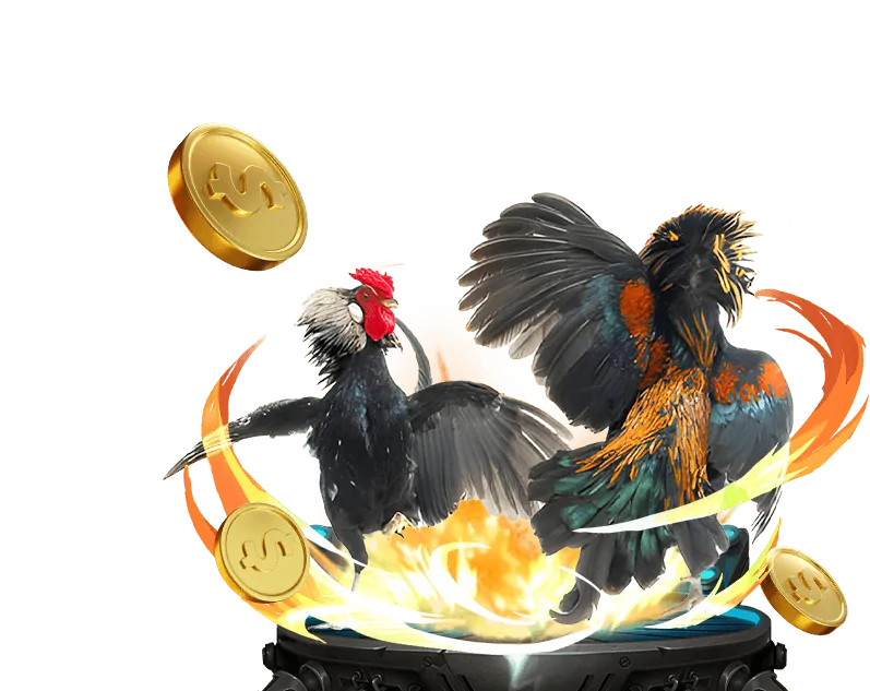 Đá gà cựa dao thabet win